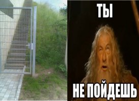 Фотоподборка за 09.02.2017