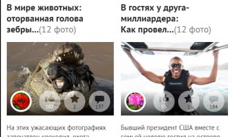 Голова зебры в пасти крокодила оказалась популярнее отдыха бывшего президента СШАXD