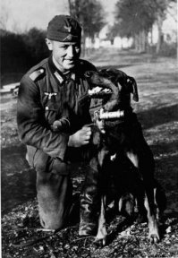 Никоим образом не умаляю заслуг собаки и вожатого. Но картинка...

Лента с патронами к пулемёту MG, фляга немецкая со стаканчиком, бинты, связанные ремешком от вермахтового котелка.
И странный ошейник, с цилиндром, как у собаки на фото.