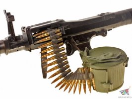 Никоим образом не умаляю заслуг собаки и вожатого. Но картинка...

Лента с патронами к пулемёту MG, фляга немецкая со стаканчиком, бинты, связанные ремешком от вермахтового котелка.
И странный ошейник, с цилиндром, как у собаки на фото.