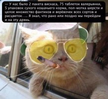  Внутри диких экстравагантных пентхаусов Джонни Деппа