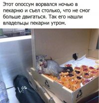 Жизненные неприятности
