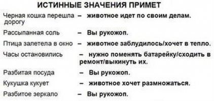 Приметы, в которые верят русские