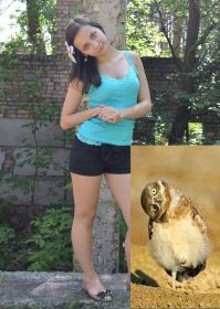 Очень красивые птицы )) Вот еще: