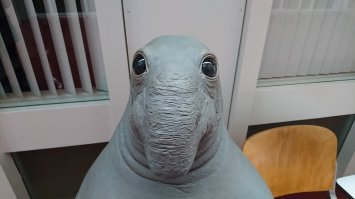добрые и умные глаза ждуна :)