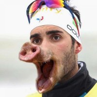 Российские поклонники биатлона «атаковали» Instagram Фуркада