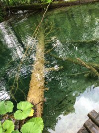 доехал этим летом туда на мотике, с женой. Красивее место нужно поискать ...