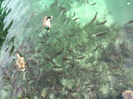 доехал этим летом туда на мотике, с женой. Красивее место нужно поискать ...