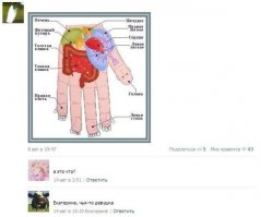 девушка левши походу