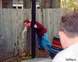  «Тушите меня семеро» — соцсети в восторге от канадского пожарного в плавках