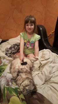 Дети и кошки. Смешные фотографии