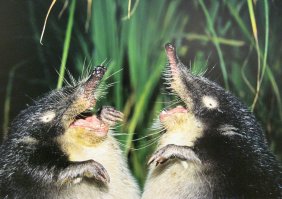 А меня вот от этой отпускает