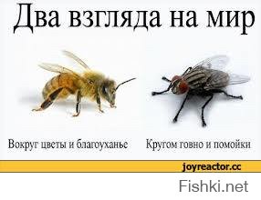 Отчего в России панорамные окна как-то не в моде