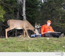 - А в чём смысл русской охоты?
- Смысл русской охоты в том, чтобы накормить и напоить зверя.
- О, какая гуманная у вас охота!
((с) Особенности национальной охоты)