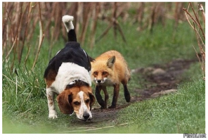 Однажды на охоте. Поймут только настоящие мужики 