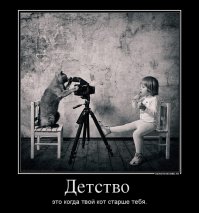 Дети и кошки. Смешные фотографии