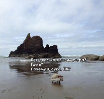 Исчезнувший в 2012-м канадец найден в джунглях