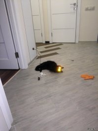 Фотоподборка за 09.02.2017