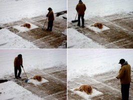 это не лень, это уважение к отдыхающей собаке:)