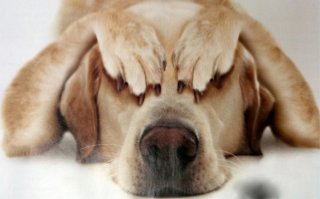 Знаменитые актеры с нестандартной внешностью