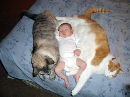 Растет вожак стаи :)