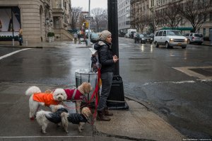 Фото 2016 Нью-Йорк но вы убеждайте, что это фотошоп и что истинна только в ваших постах.