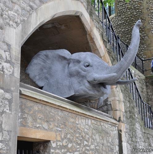 Если интересуетесь ДЕЙСТВИТЕЛЬНО реалистичными скульптурами животных из проволоки - отправляйтесь в лондонский Тауэр! Поторопитесь, из анонсированного срока 10 лет уже прошла половина...