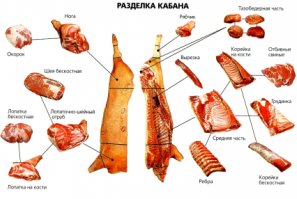 С нашими депутатами это выглядело бы так