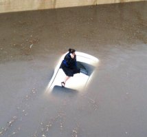Если бы глупость облагалась налогом, то деньги некуда было бы девать