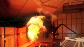 Паразиты бывают и у насекомых