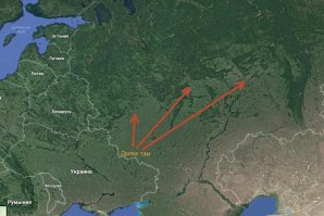  "бензин всё": Украина переводит автомобили на дрова