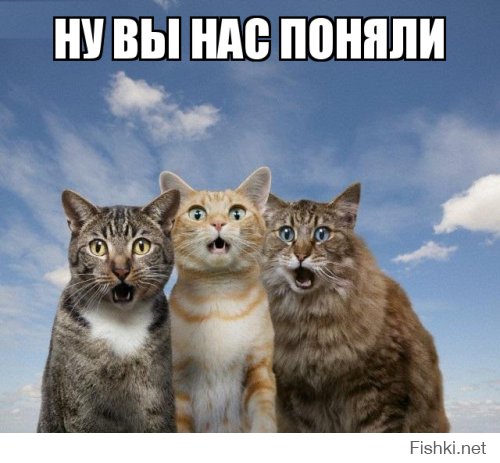 Смешные комментарии и высказывания из социальных сетей 