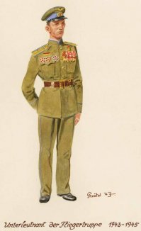 Младший лейтенант в полковничьих погонах?