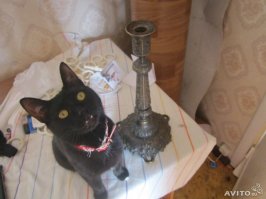 Выбирайте)))