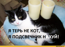 Выбирайте)))