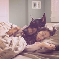  Девушка забрала из приюта питбуля и он так счастлив, что не может перестать обниматься