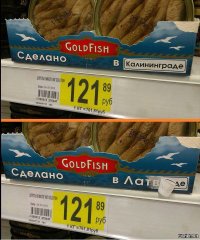 Разочарование латышей: Российские шпроты вкуснее и дешевле