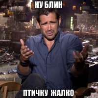  Два зимородка вмерзли в лед