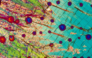 Водка и пиво