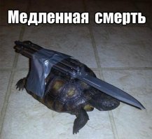 Бесшумный убийца.       ;)