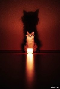 Еще одного добавлю... )))