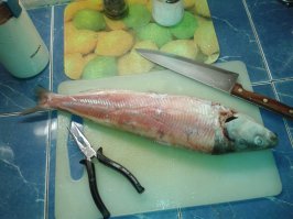 Эх...моя срогонина последняя из муксуна-уехал с таймыра 3 года уж как.