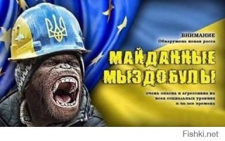  Учёные выяснили, сколько обезьян нужно для "революции"