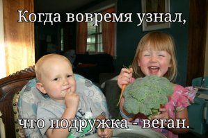 Фотоподборка за 13.02.2017