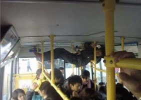 Такое можно увидеть только в Китае