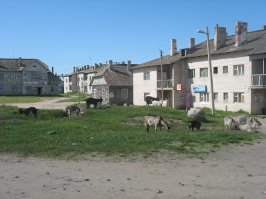 Соловки, которые нам не показывают