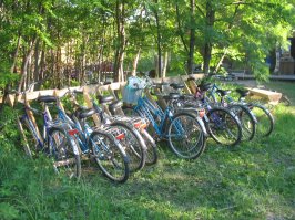 Соловки, которые нам не показывают