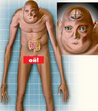 Судя по рычагу КПП - вот ее типичный водитель: