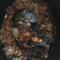 Рульку надо было накрывать , а броколи - просто цветной капустой оказались ;)