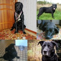 А нам завтра 10 лет